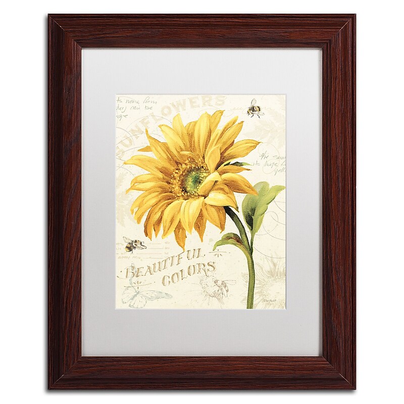 Trademark Fine Art Lisa Audit 'Under the Sun II' 11 x 14 Framed Art Print (WAP0222-W1114MF) image 1