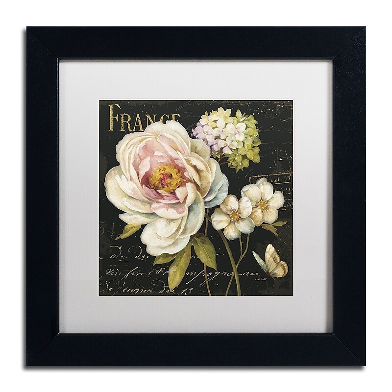 Trademark Fine Art Lisa Audit 'Marche de Fleurs on Black' 11 x 11 Framed Art Print (WAP0228-B1111MF) image 1
