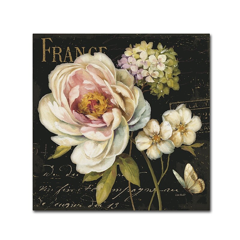 Trademark Fine Art Lisa Audit 'Marche de Fleurs on Black' 35 x 35 (WAP0228-C3535GG) image 1