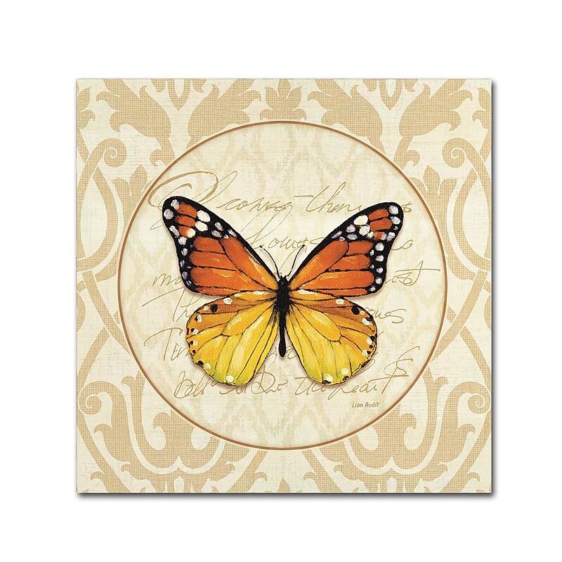 Trademark Fine Art Lisa Audit 'End of Summer IV' 14 x 14 (WAP0233-C1414GG) image 1