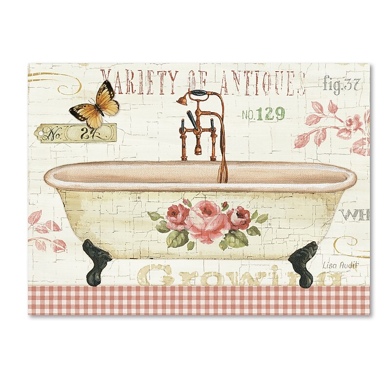 Trademark Fine Art Lisa Audit 'Rose Garden III no Border' 14 x 19 (WAP0243-C1419GG) image 1