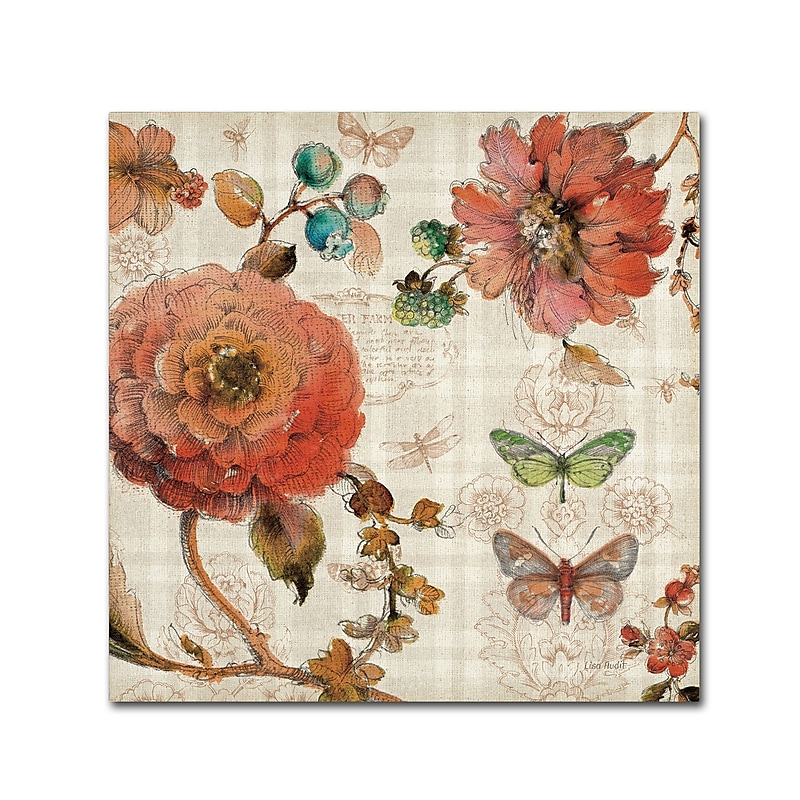Trademark Fine Art Lisa Audit 'French Country IV' 35 x 35 (WAP0256-C3535GG) image 1