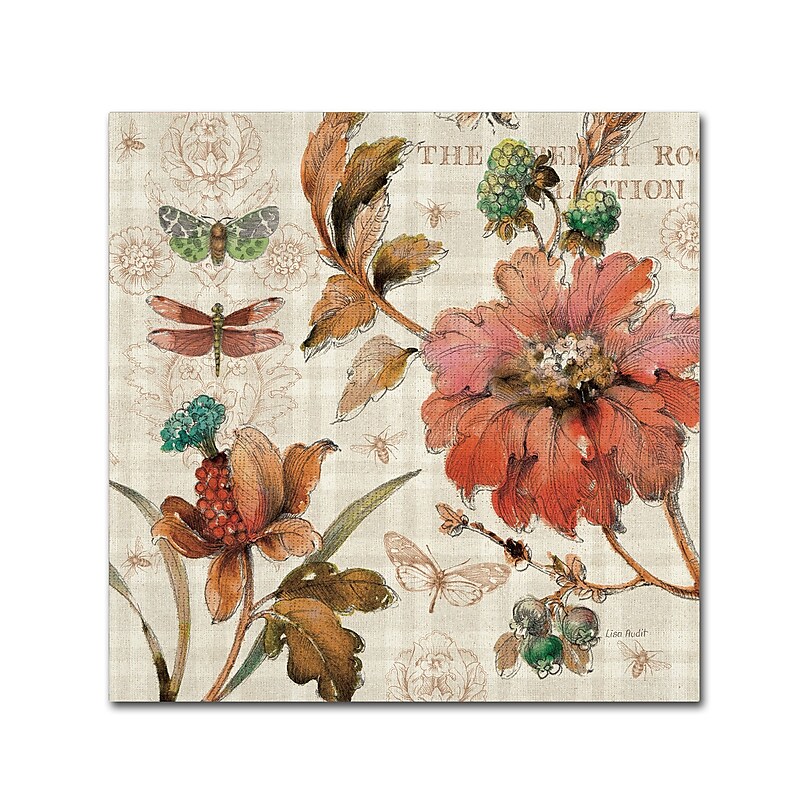 Trademark Fine Art Lisa Audit 'French Country V' 35 x 35 (WAP0257-C3535GG) image 1
