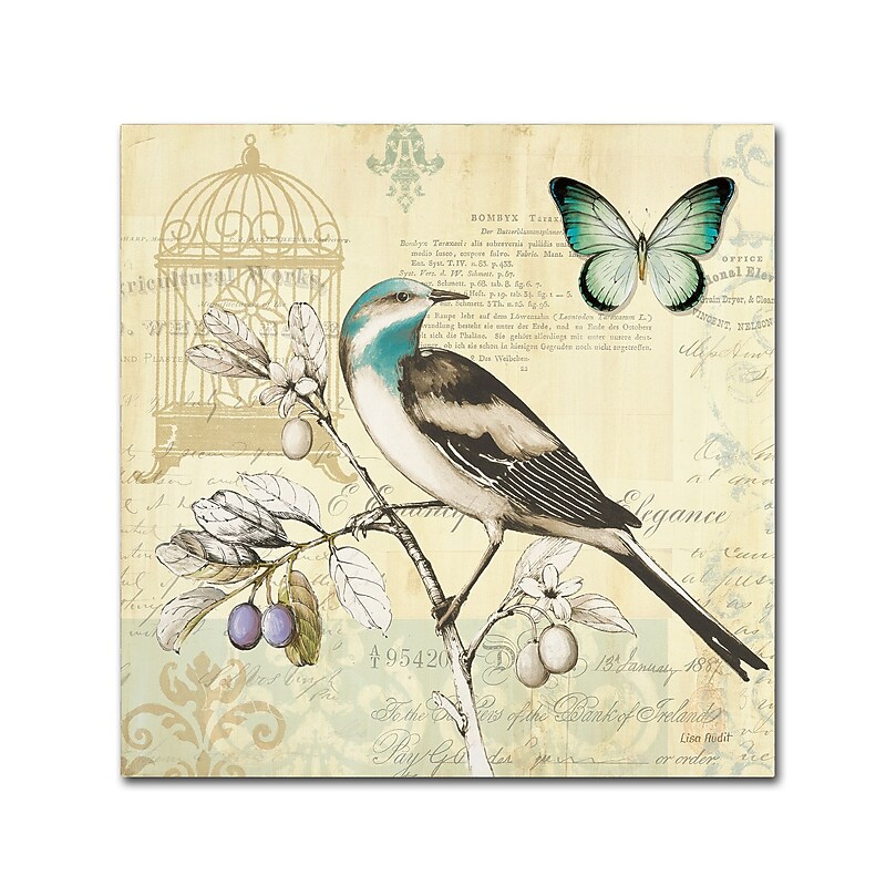 Trademark Fine Art Lisa Audit 'Freedom II' 24 x 24 (WAP0259-C2424GG) image 1