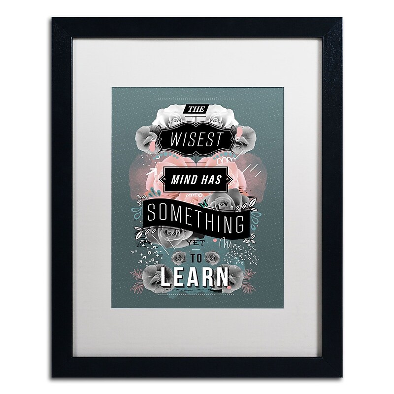 Trademark Fine Art Kavan & Co 'A Beautiful Mind' 16 x 20 Framed Art Print (ALI0600-B1620MF) image 1