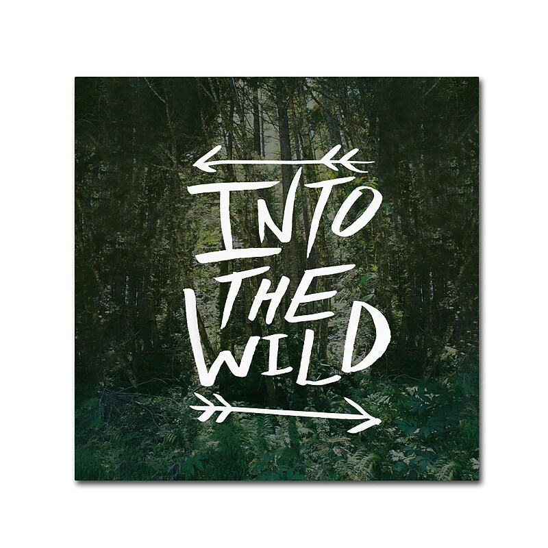 Trademark Fine Art Leah Flores 'Into the Wild' 35 x 35 (ALI0668-C3535GG) image 1
