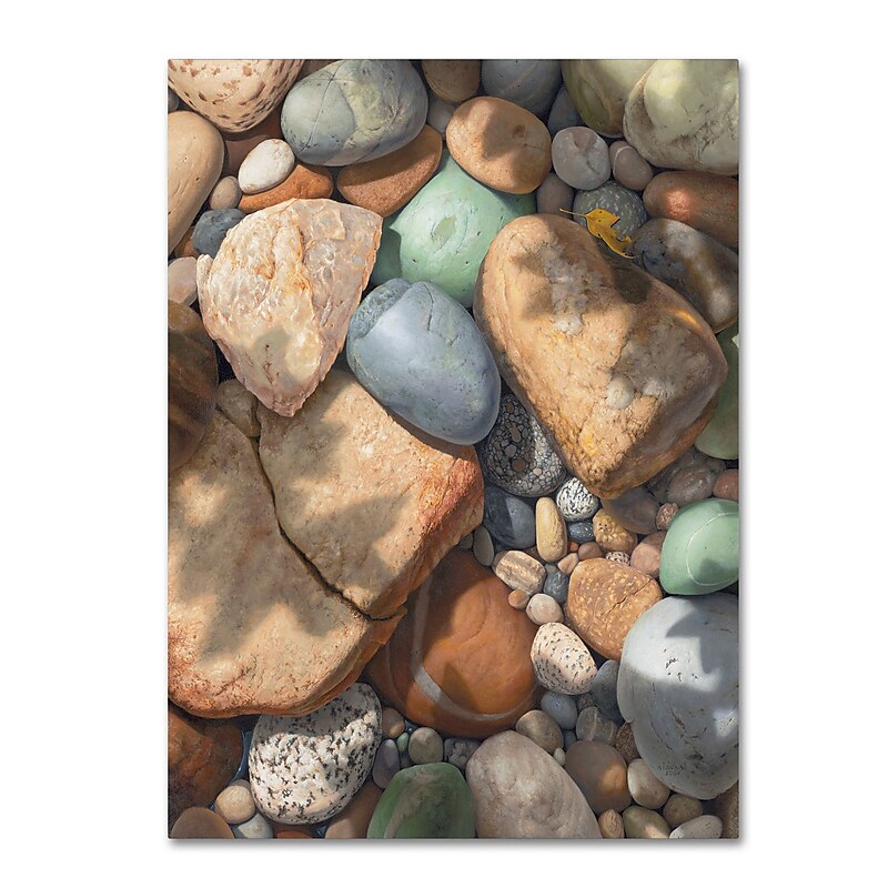 Trademark Fine Art Stephen Stavast 'Above the Shadows Break' 14 x 19 (ALI0742-C1419GG) image 1