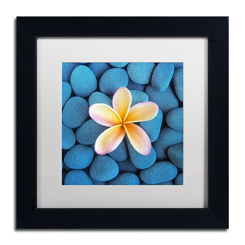 Trademark Fine Art David Evans 'Plumeria & Pebbles 6' 11 x 11 (DE0116-B1111MF) image 1