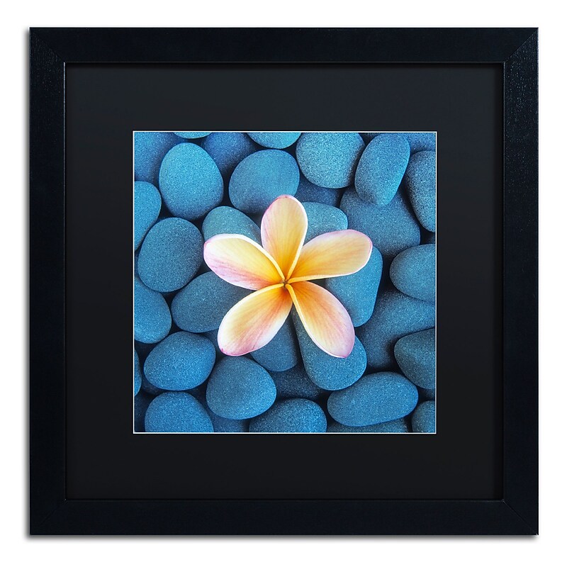 Trademark Fine Art David Evans 'Plumeria & Pebbles 6' 16 x 16 (DE0116-B1616BMF) image 1