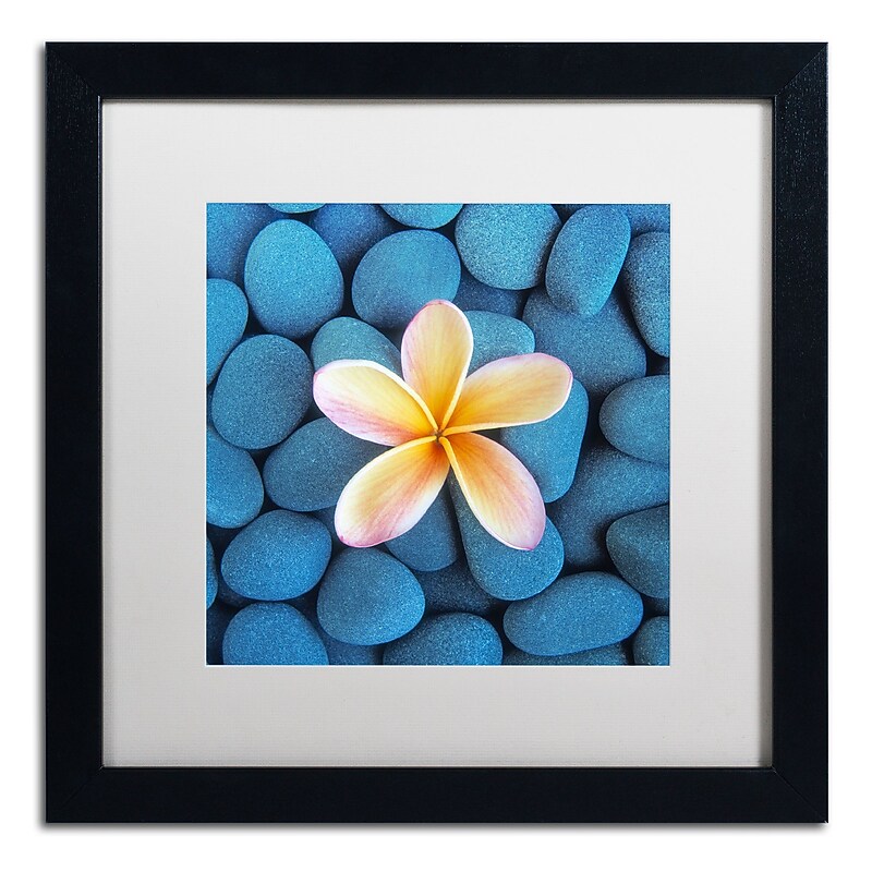 Trademark Fine Art David Evans 'Plumeria & Pebbles 6' 16 x 16 (DE0116-B1616MF) image 1