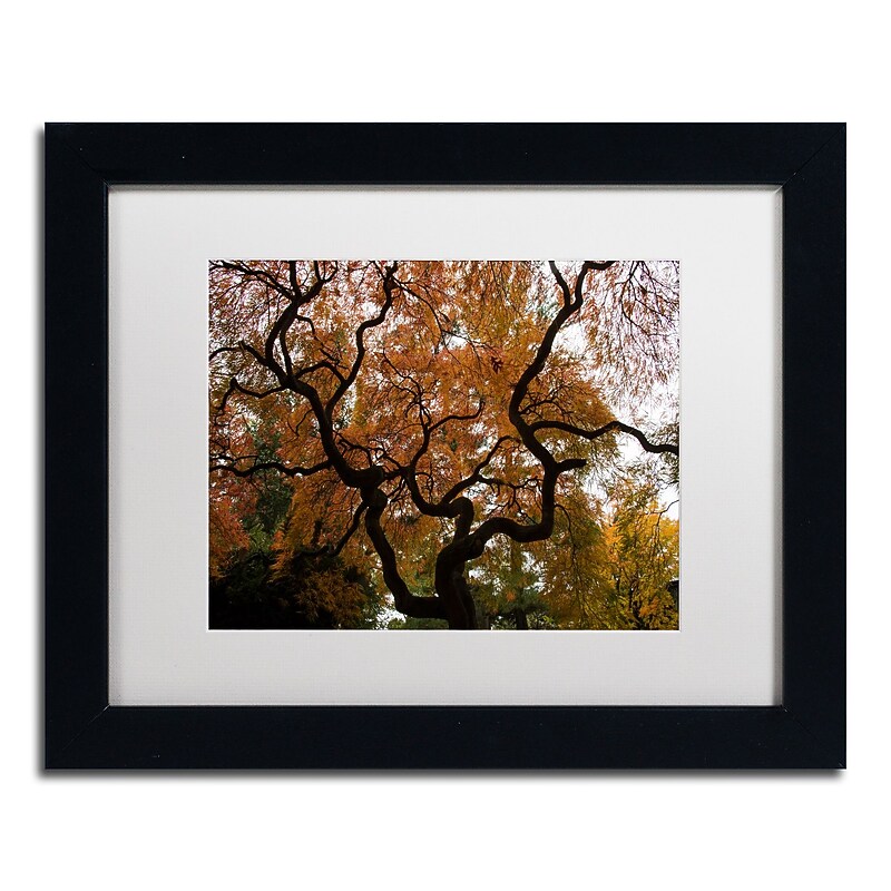 Trademark Fine Art Kurt Shaffer 'Brilliant Japanese Maple Abstract' 11 x 14 Framed Art Print (KS01026-B1114MF) image 1