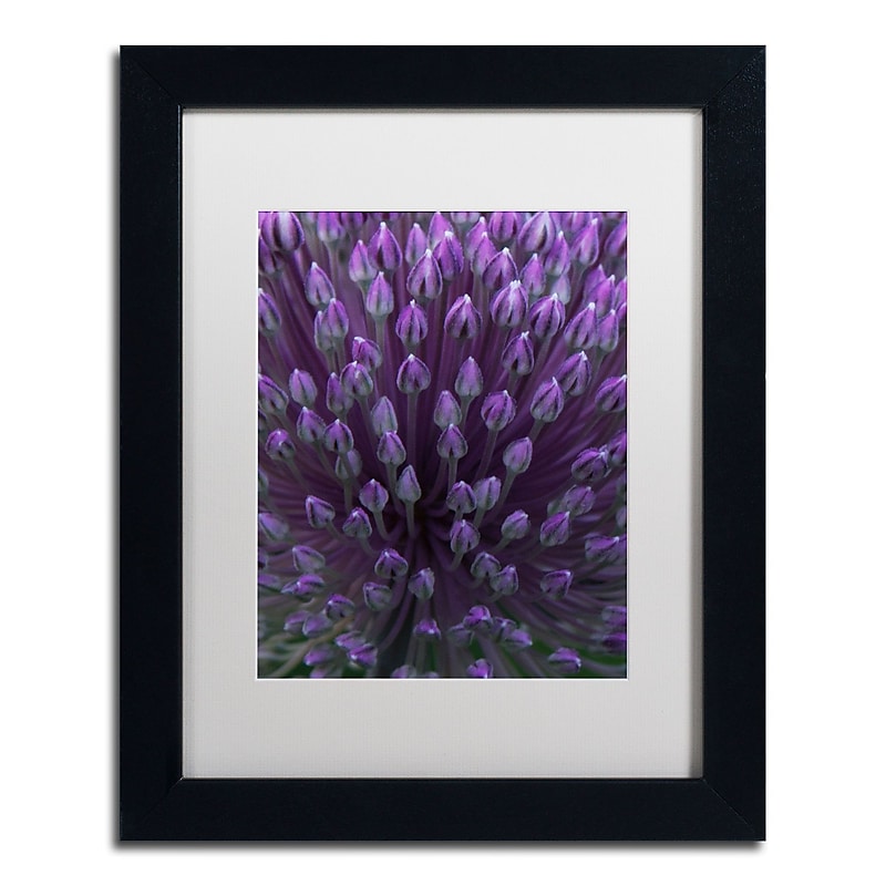 Trademark Fine Art Kurt Shaffer 'Alien Flower Pods' 11 x 14 (KS0173-B1114MF) image 1
