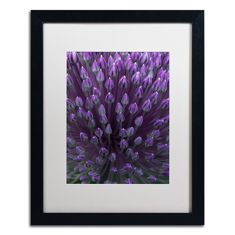 Trademark Fine Art Kurt Shaffer 'Alien Flower Pods' 16 x 20 (KS0173-B1620MF) image 1