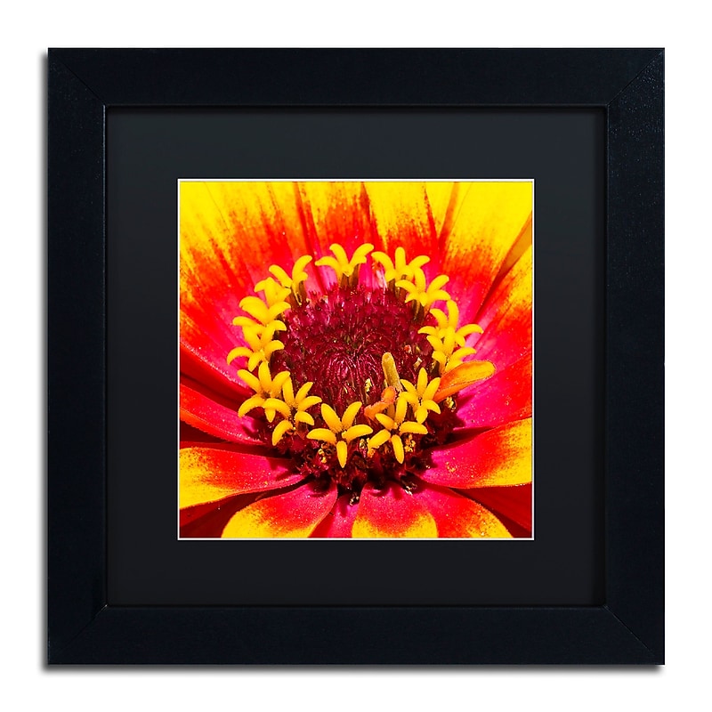 Trademark Fine Art Kurt Shaffer 'Floral Mass Coronal Ejection' 11 x 11 Framed Art Print (KS0179-B1111BMF) image 1