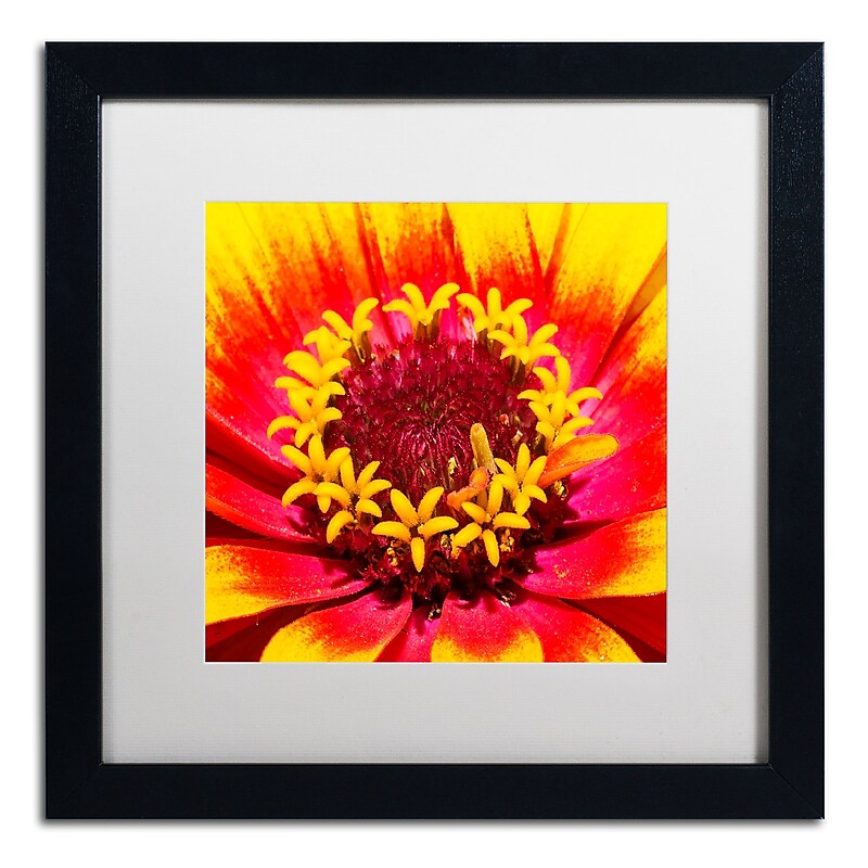 Trademark Fine Art Kurt Shaffer 'Floral Mass Coronal Ejection' 16 x 16 Framed Art Print (KS0179-B1616MF) image 1