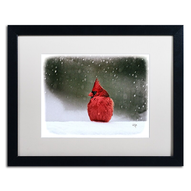 Trademark Fine Art Lois Bryan 'A Ruby in the Snow' 16 x 20 (LBR0237-B1620MF) image 1