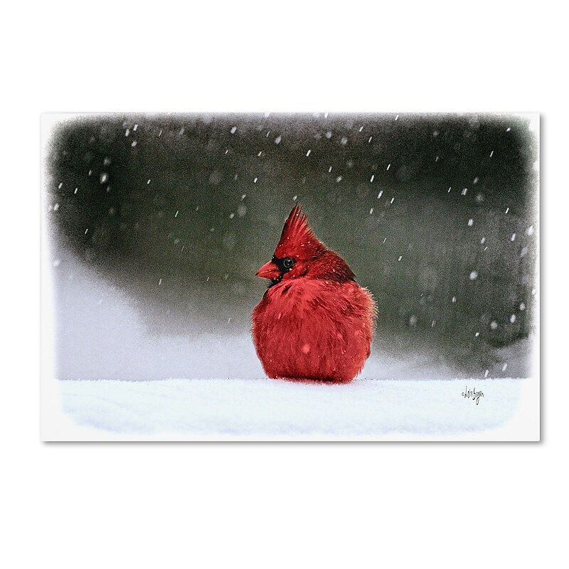 Trademark Fine Art Lois Bryan 'A Ruby in the Snow' 12 x 19 (LBR0237-C1219GG) image 1