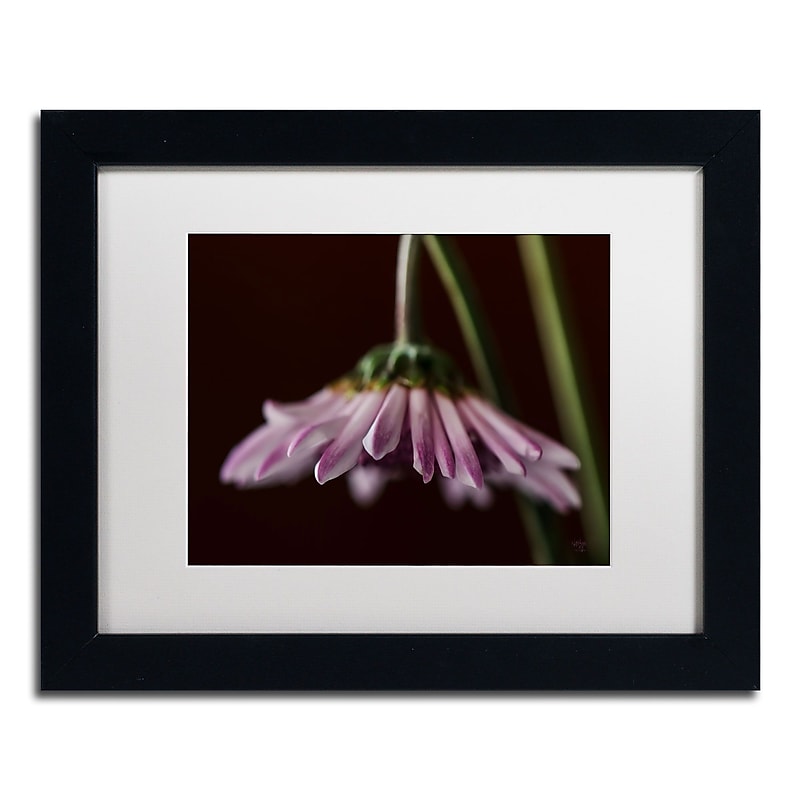 Trademark Fine Art Lois Bryan 'Drooping Flower' 11 x 14 Framed Art Print (LBR0258-B1114MF) image 1
