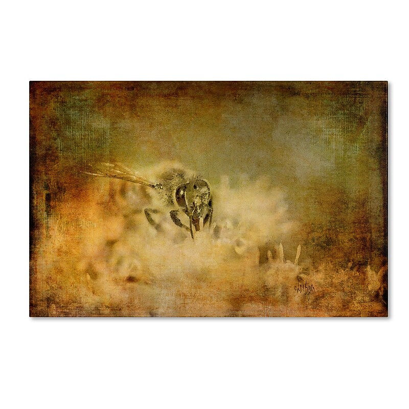 Trademark Fine Art Lois Bryan 'Send the Bees Love' 16 x 24 (LBR0282-C1624GG) image 1