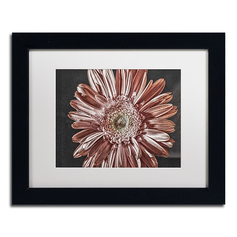 Trademark Fine Art Lois Bryan 'Silvery Pink' 11 x 14 Framed Art Print (LBR0283-B1114MF) image 1