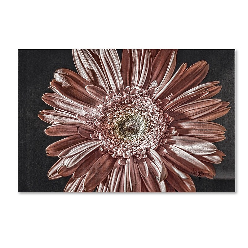 Trademark Fine Art Lois Bryan 'Silvery Pink' 16 x 24 (LBR0283-C1624GG) image 1