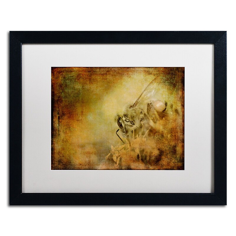 Trademark Fine Art Lois Bryan 'Spices From a Million Flowers' 16 x 20 (LBR0285-B1620MF) image 1