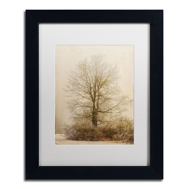 Trademark Fine Art Lois Bryan 'Tan Tones in the Fog' 11 x 14 Framed Art Print (LBR0286-B1114MF) image 1