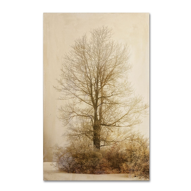 Trademark Fine Art Lois Bryan 'Tan Tones in the Fog' 16 x 24 (LBR0286-C1624GG) image 1