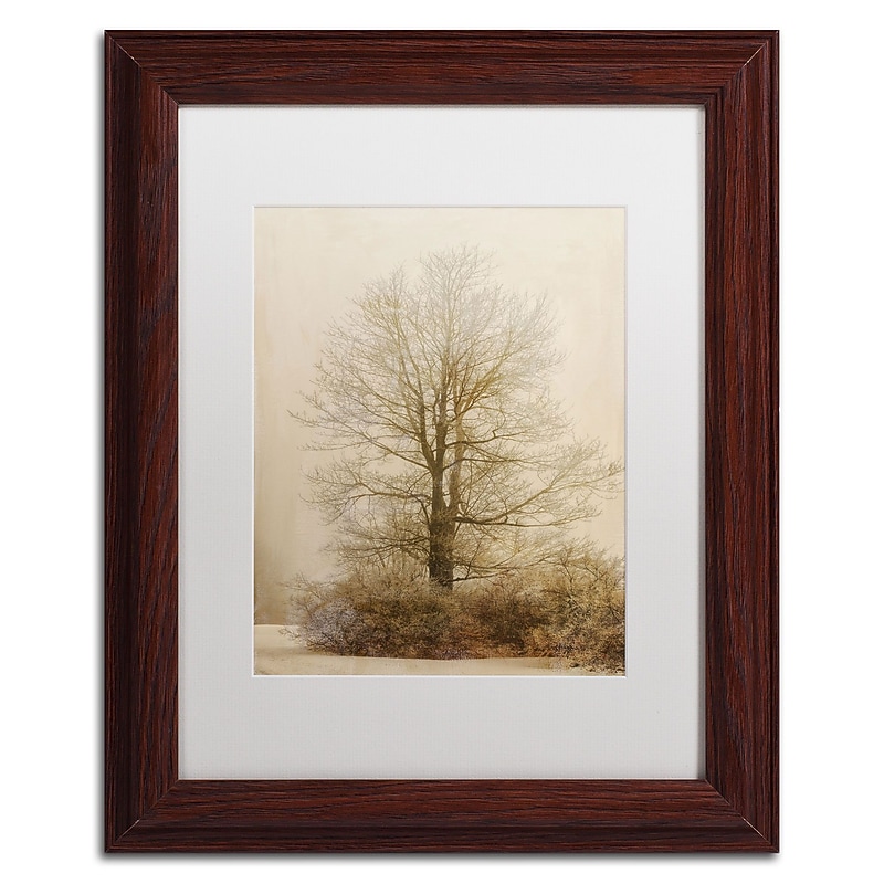 Trademark Fine Art Lois Bryan 'Tan Tones in the Fog' 11 x 14 Framed Art Print (LBR0286-W1114MF) image 1