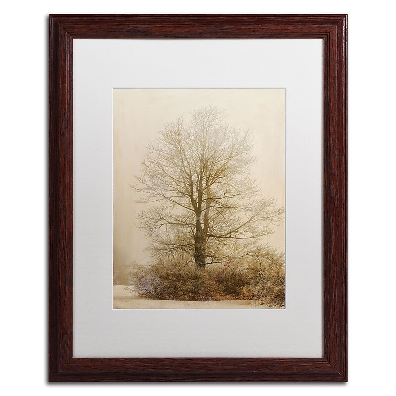 Trademark Fine Art Lois Bryan 'Tan Tones in the Fog' 16 x 20 Framed Art Print (LBR0286-W1620MF) image 1