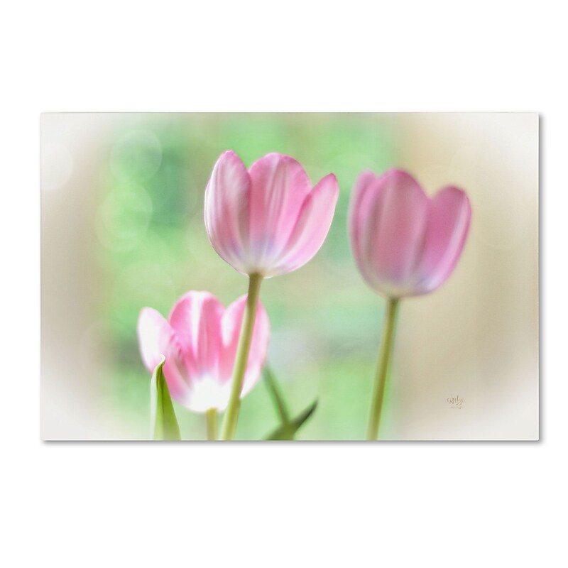 Trademark Fine Art Lois Bryan 'Three Pink Tulips' 12 x 19 (LBR0291-C1219GG) image 1