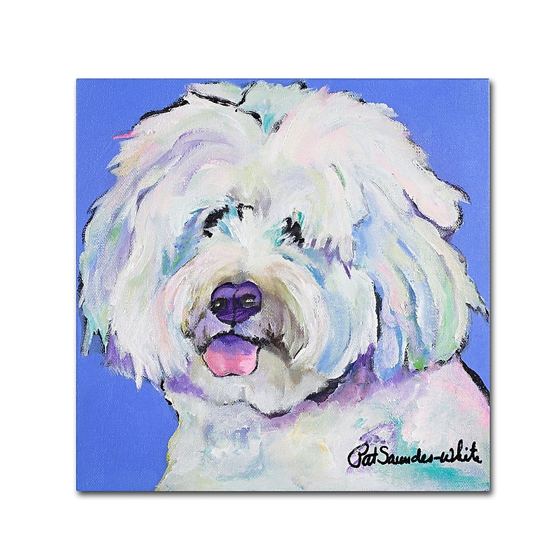 Trademark Fine Art Pat Saunders-White 'Champ' 14 x 14 (PS118-C1414GG) image 1