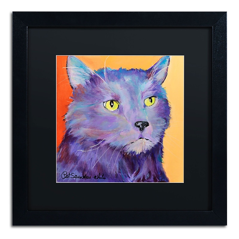 Trademark Fine Art Pat Saunders-White 'Frenchy' 16 x 16 (PS121-B1616BMF) image 1