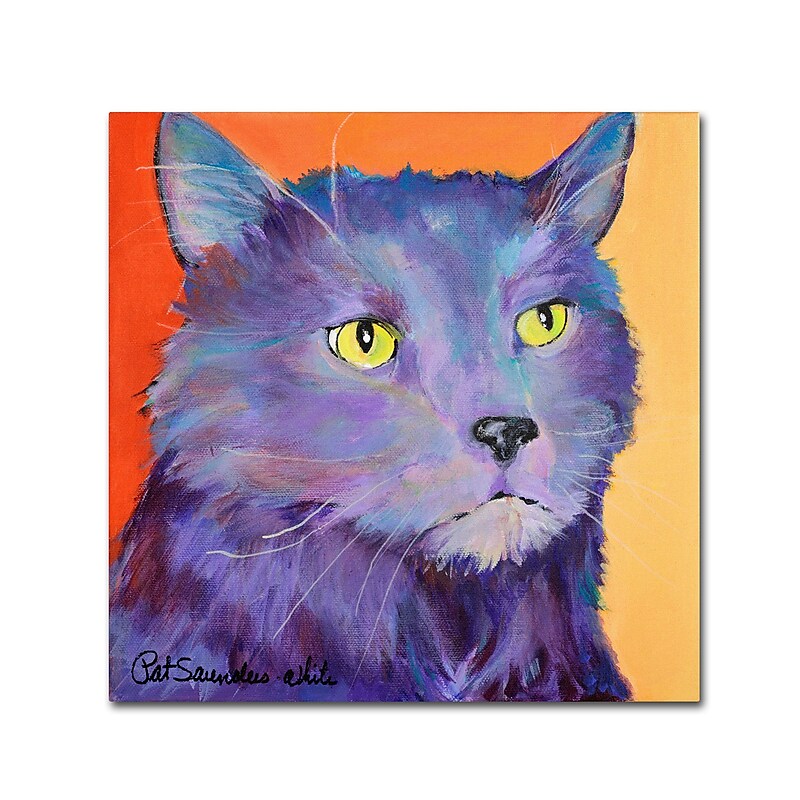 Trademark Fine Art Pat Saunders-White 'Frenchy' 24 x 24 (PS121-C2424GG) image 1