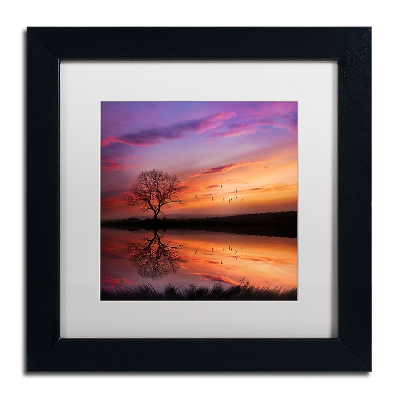 Trademark Fine Art Philippe Sainte-Laudy 'Dream Bigger' 11 x 11 (PSL0340-B1111MF) image 1