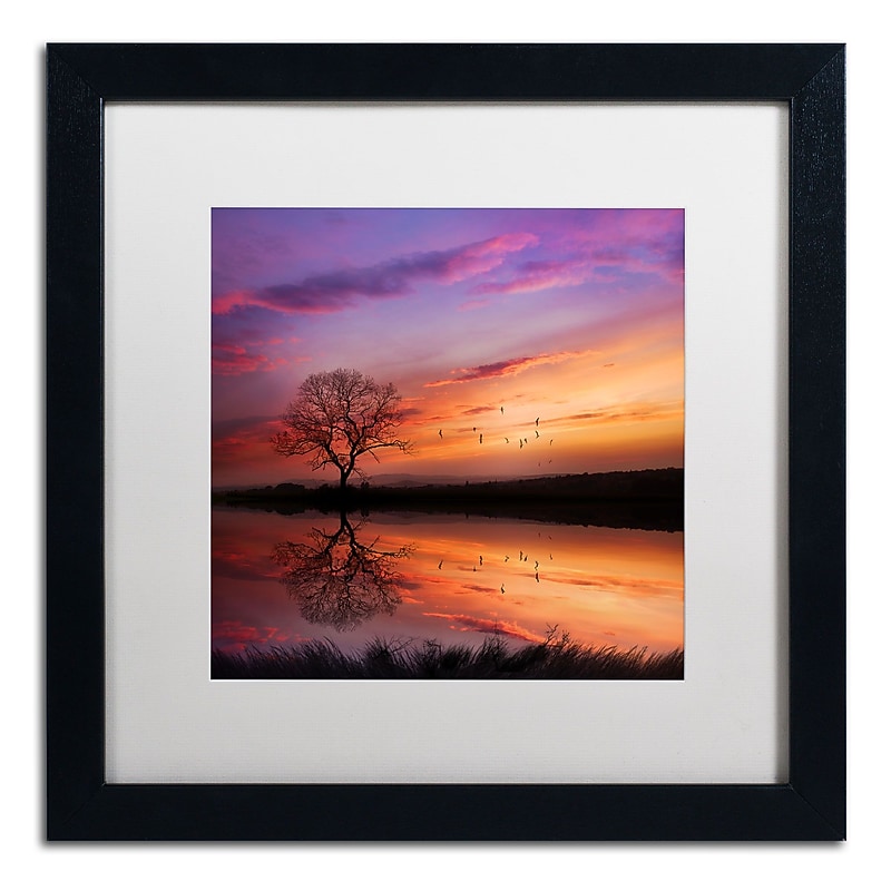 Trademark Fine Art Philippe Sainte-Laudy 'Dream Bigger' 16 x 16 (PSL0340-B1616MF) image 1