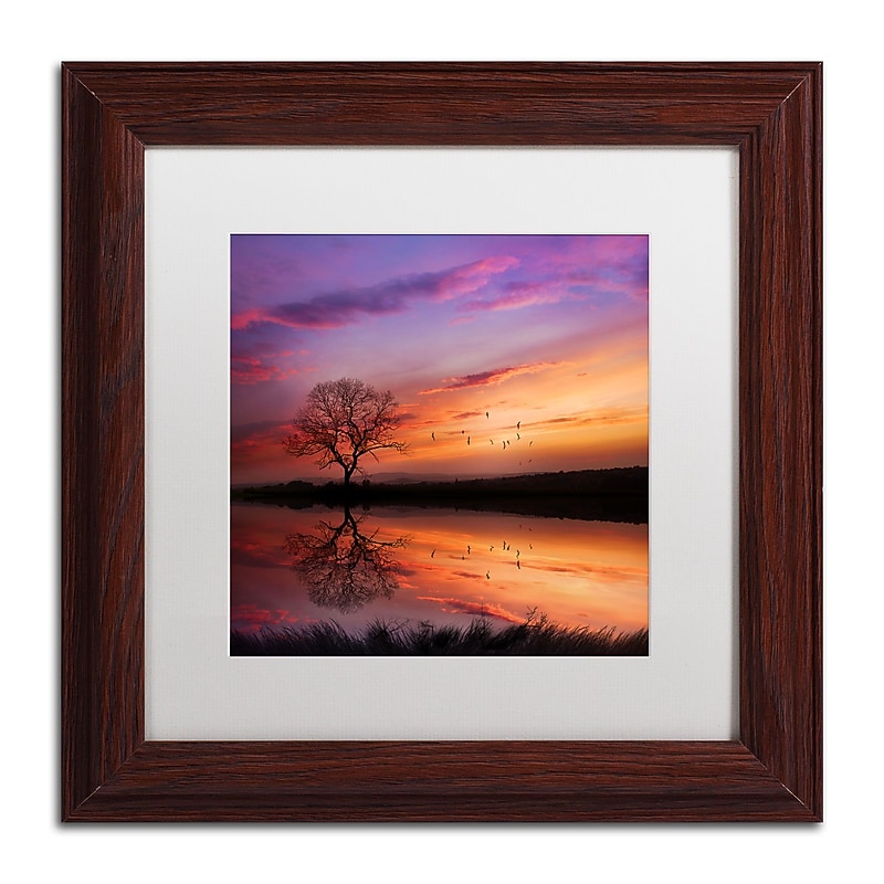 Trademark Fine Art Philippe Sainte-Laudy 'Dream Bigger' 11 x 11 (PSL0340-W1111MF) image 1