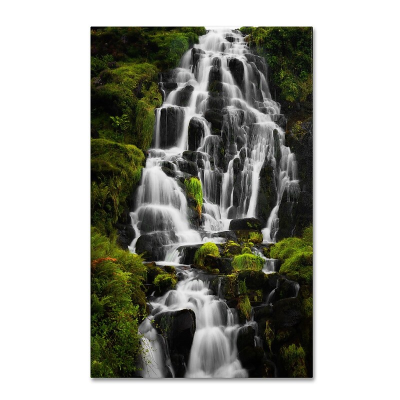 Trademark Fine Art Philippe Sainte-Laudy 'Liquid Road' 30 x 47 (PSL0349-C3047GG) image 1