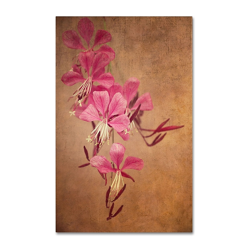 Trademark Fine Art Philippe Sainte-Laudy 'Heavy Love' 22 x 32 (PSL0387-C2232GG) image 1