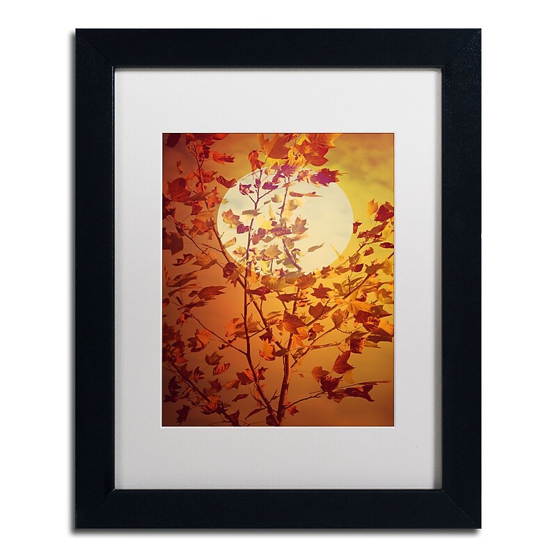Trademark Fine Art Philippe Sainte-Laudy 'Time Out' 11 x 14 (PSL0417-B1114MF) image 1