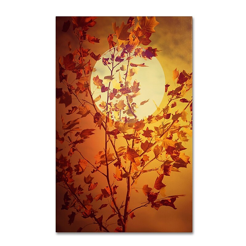 Trademark Fine Art Philippe Sainte-Laudy 'Time Out' 22 x 32 (PSL0417-C2232GG) image 1