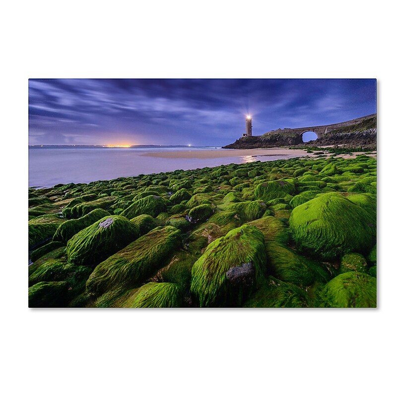Trademark Fine Art Mathieu Rivrin 'Full Moon in Brittany' 12 x 19 (RV0026-C1219GG) image 1