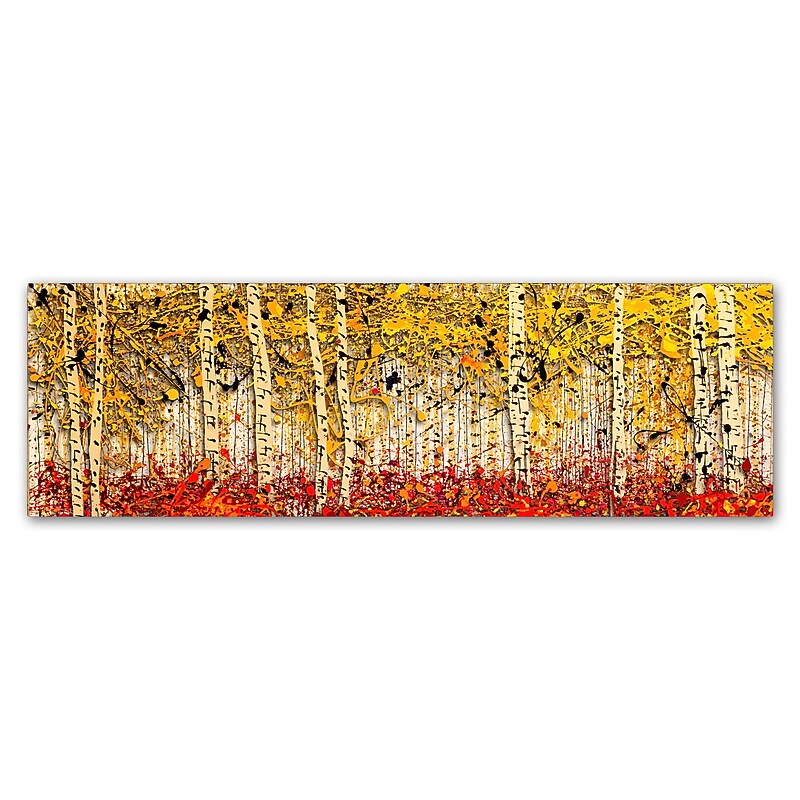 Trademark Fine Art Roderick Stevens 'Fall PanorAspens' 8 x 24 (RS1001-C824GG) image 1