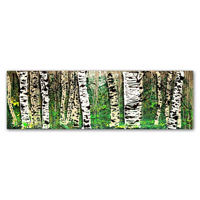 Trademark Fine Art Roderick Stevens 'PanorAspens 4' 10 x 32 (RS1009-C1032GG) image 1
