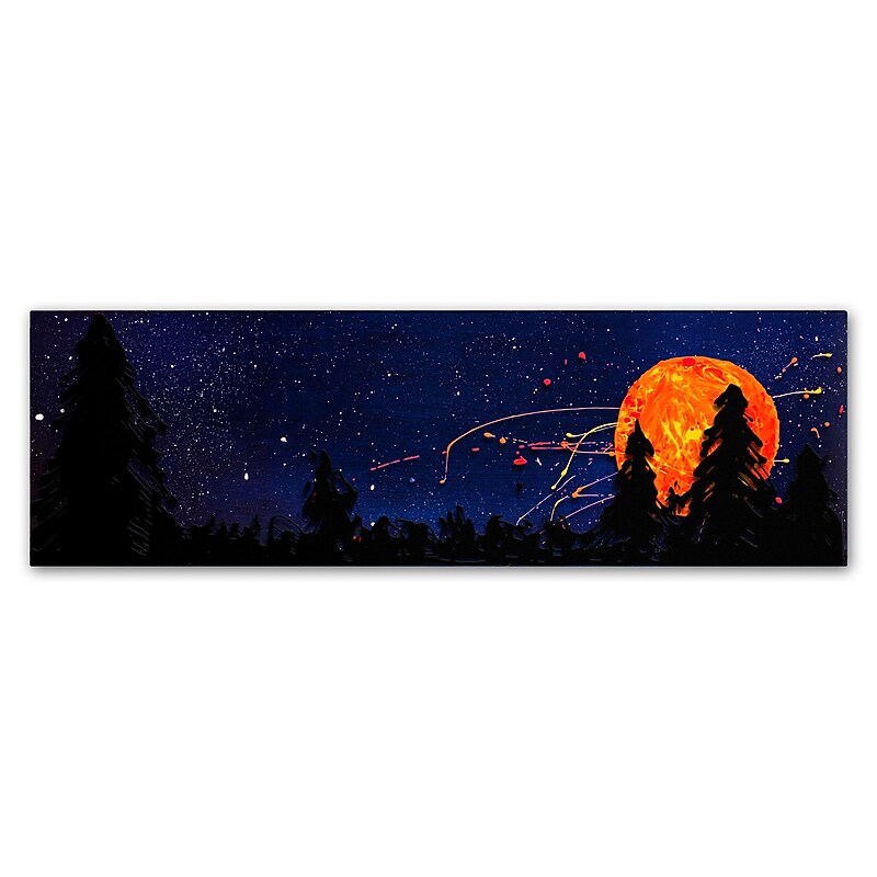 Trademark Fine Art Roderick Stevens 'Washington Moonrise' 16 x 47 (RS1015-C1647GG) image 1