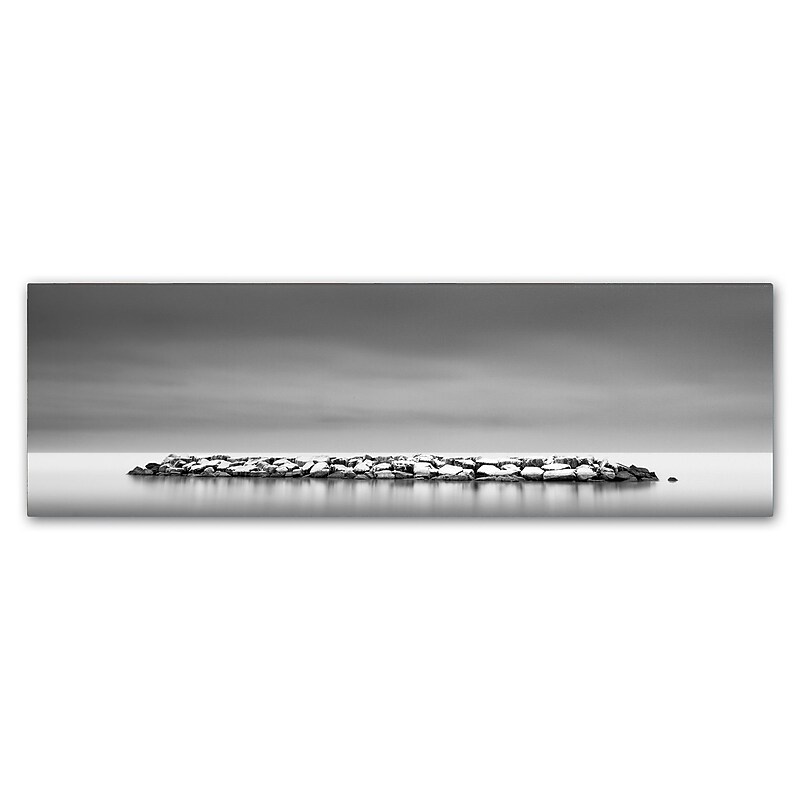 Trademark Fine Art Dave MacVicar 'Sugar Coated' 10 x 32 (ALI0856-C1032GG) image 1