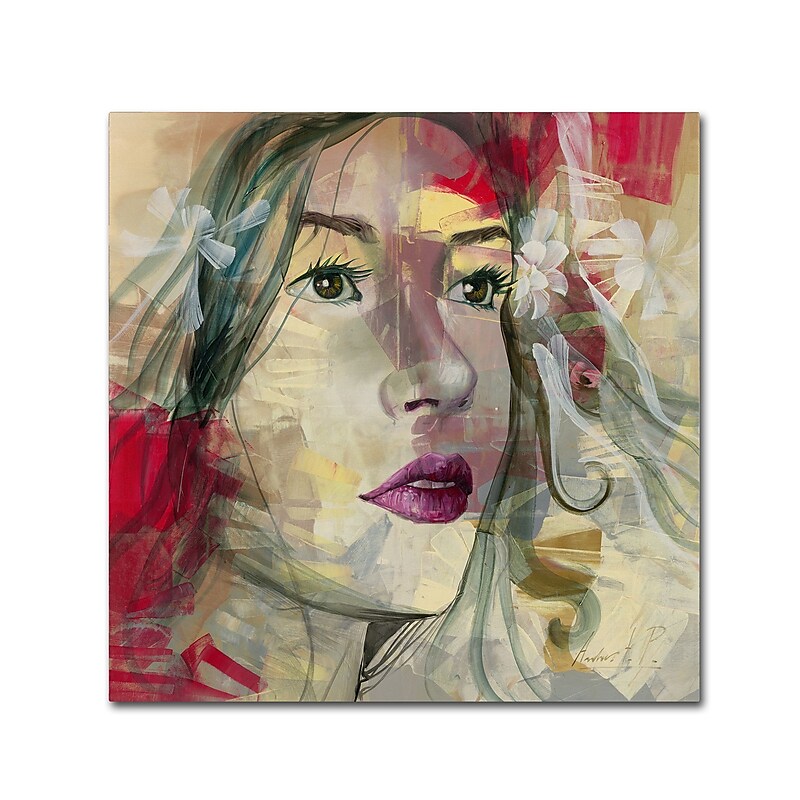 Trademark Fine Art Andrea 'Ana Lucia' 24 x 24 (MA0598-C2424GG) image 1