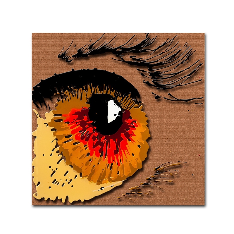 Trademark Fine Art Roderick Stevens 'Eye 1' 24 x 24 (RS1000-C2424GG) image 1