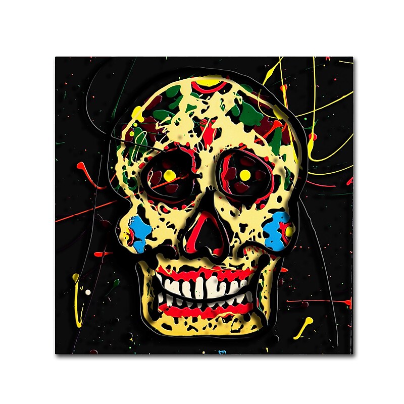Trademark Fine Art Roderick Stevens 'Muertos 1' 18 x 18 (RS1006-C1818GG) image 1