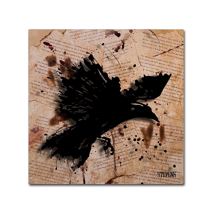 Trademark Fine Art Roderick Stevens 'The Raven 1' 24 x 24 (RS1011-C2424GG) image 1